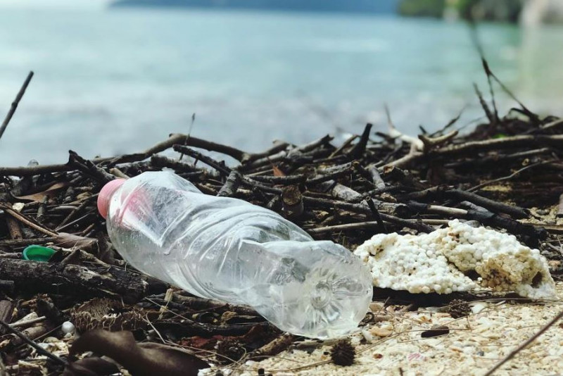 Światowy Dzień Ochrony Środowiska przypomina o zanieczyszczeniu plastikiem